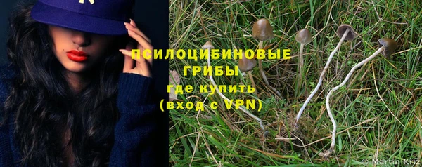 тгк Алексеевка