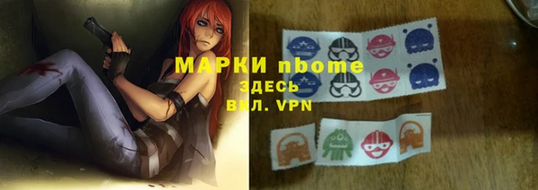 apvp Алзамай
