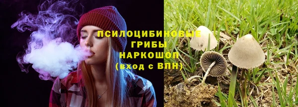 тгк Алексеевка