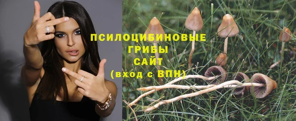 тгк Алексеевка